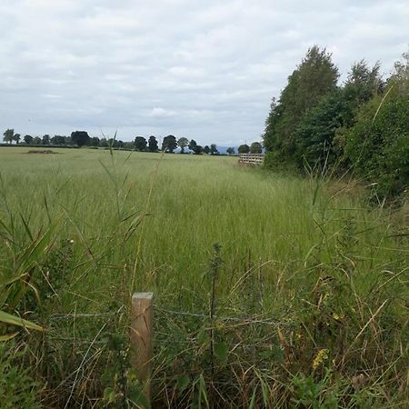 Edenroc Vendégház Perth Kültér fotó
